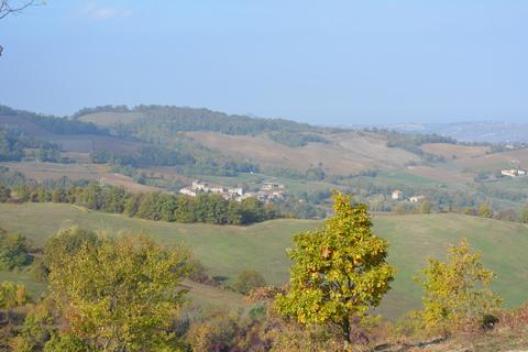 Tassara
